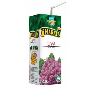 Suco Maratá Sabores Diversos 200ml